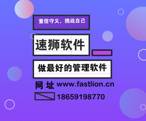 北京ERP系統專業開發，速獅軟件以無與倫比的服務引領軟件開發新標準